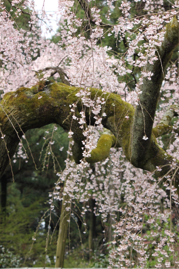 941FC761-B7DC-44BF-8187-D0EBC0021647_1_105_c